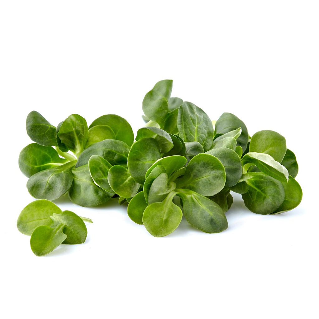 VALERIANELLA BIO (250G)