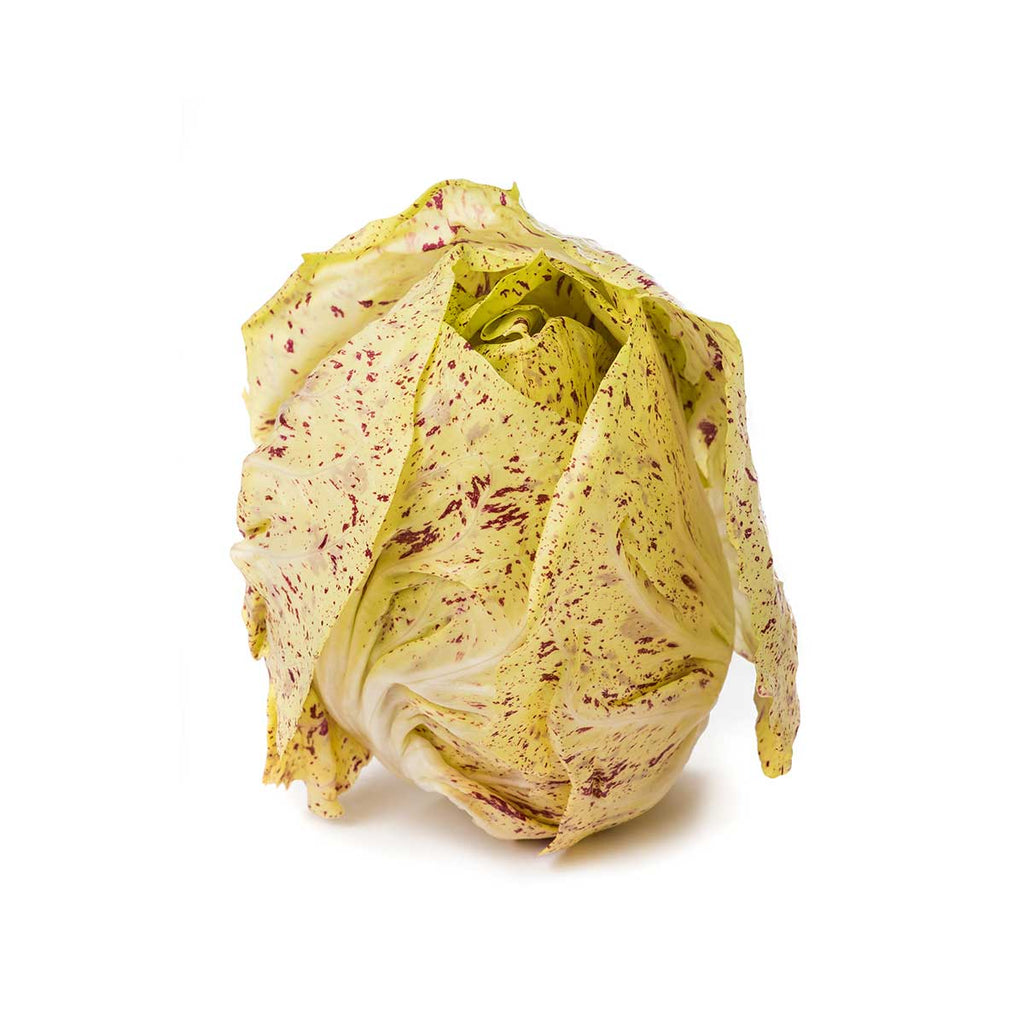 RADICCHIO VARIEGATO BIO (400G +/-)