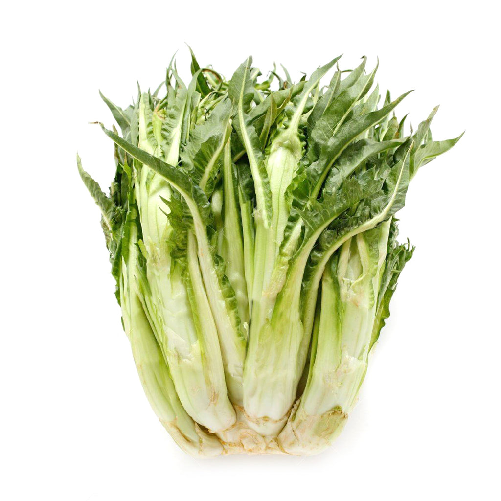 PUNTARELLE BIO (800G +/-)