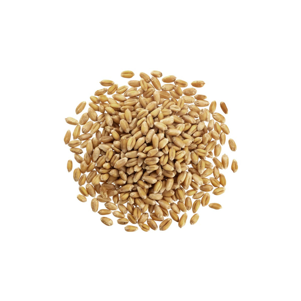 FARRO PERLATO BIO (500G)