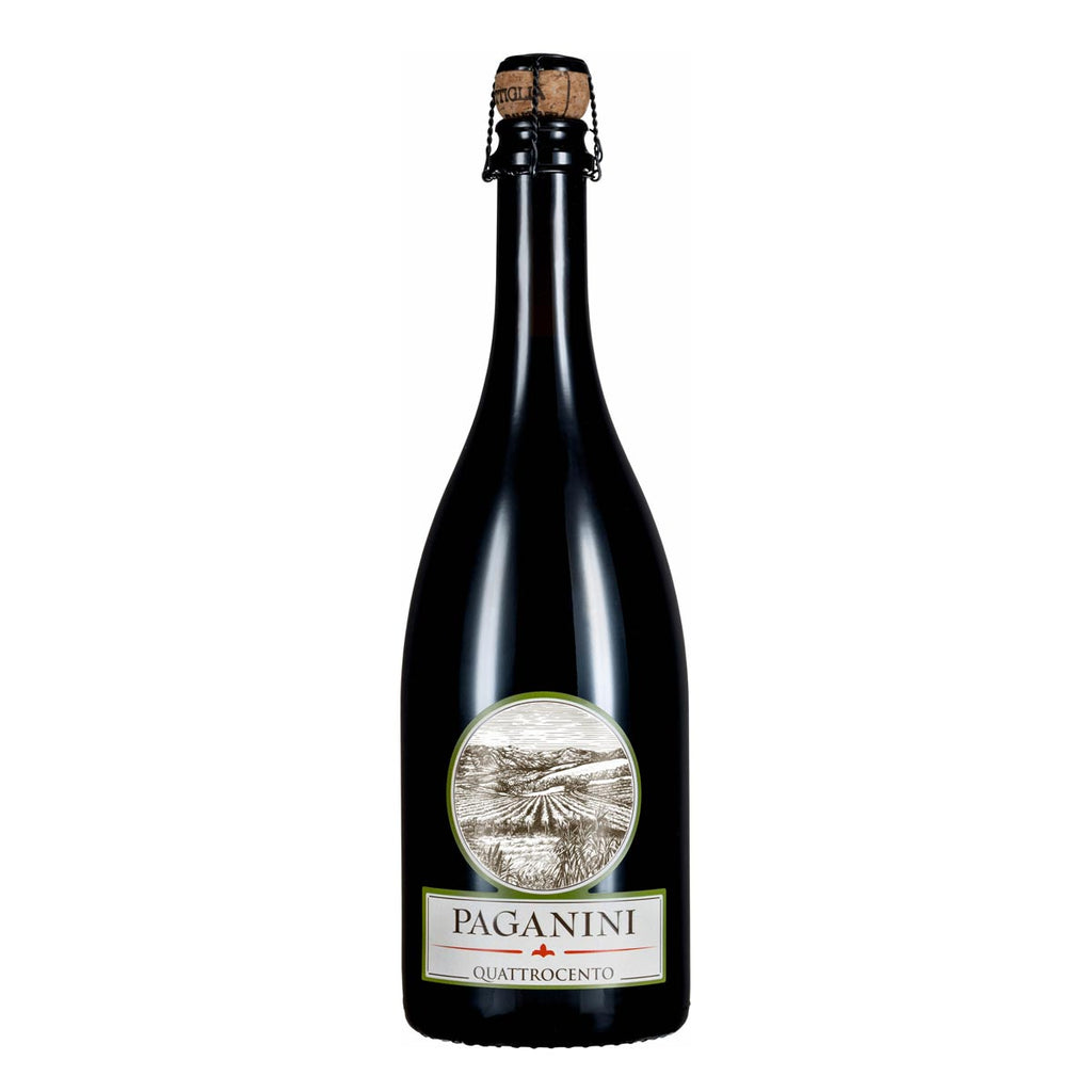 BARBERA FRIZZANTE DEI COLLI PIACENTINI BIO