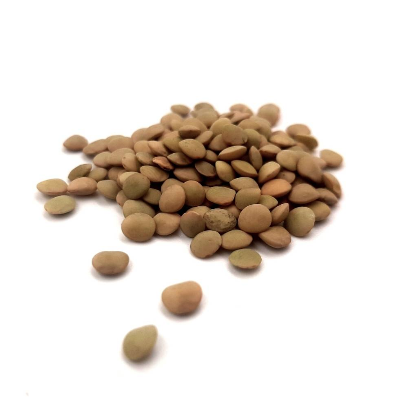 LENTICCHIE VERDI PICCOLE BIO (500G)